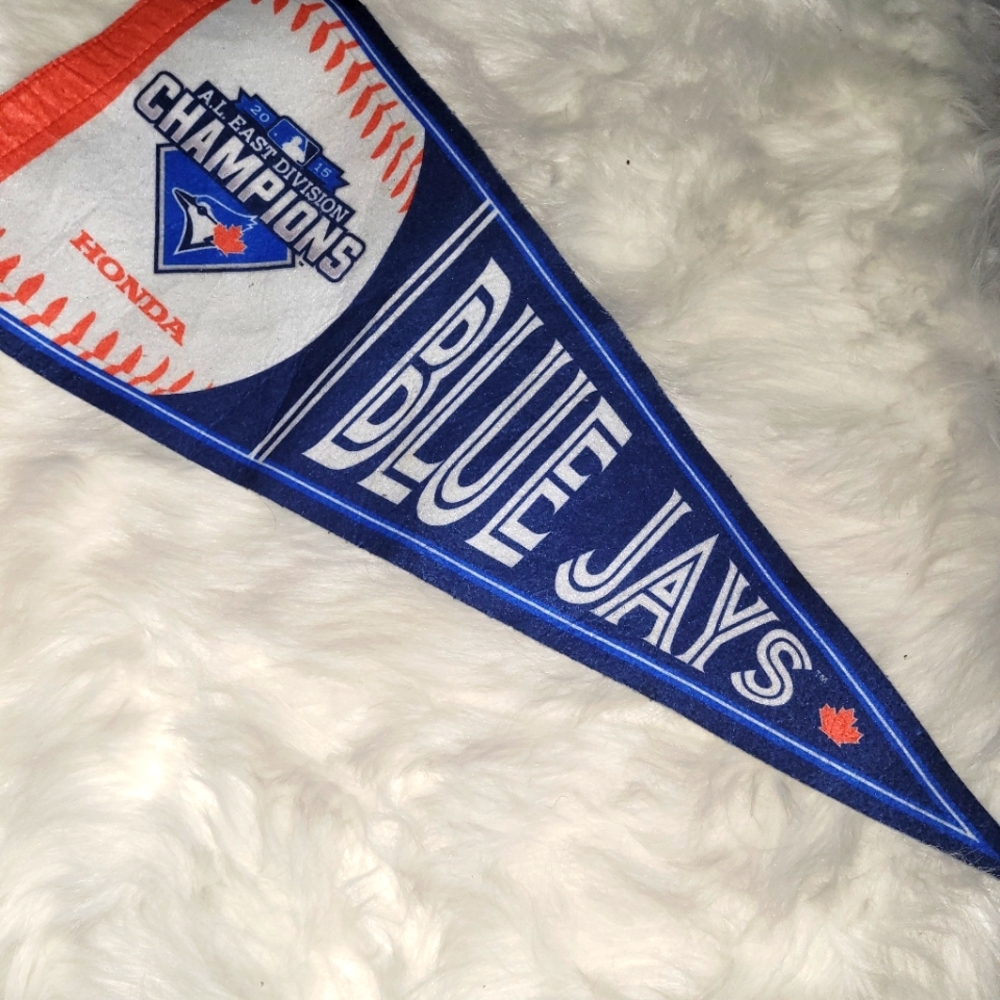 Blue Jay's Bundle 🐦⚾️ - Picture 5 of 6